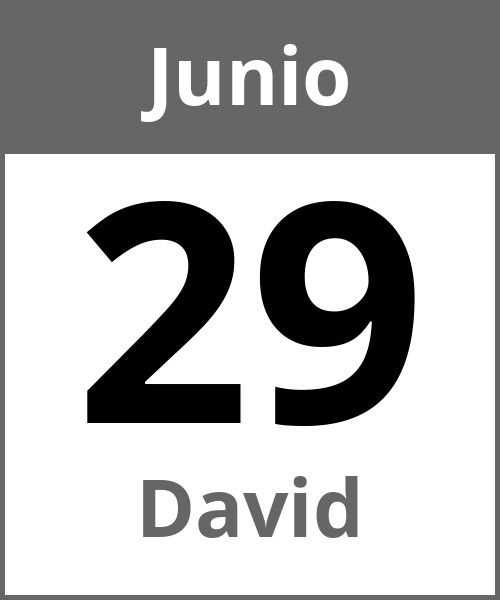 Fiesta David Junio 29.6.