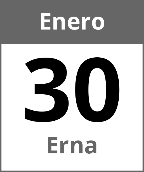 Fiesta Erna Enero 30.1.