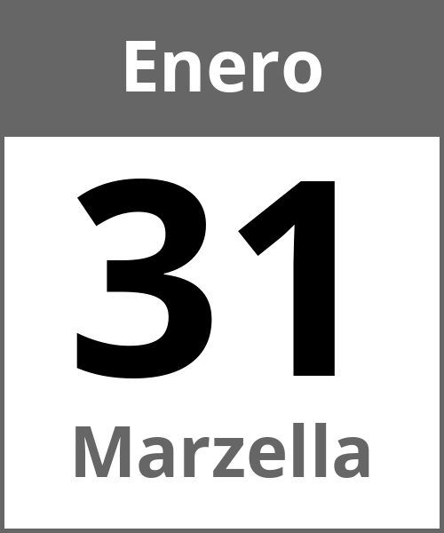 Fiesta Marzella Enero 31.1.