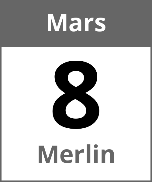 Fete Merlin Mars 8.3.