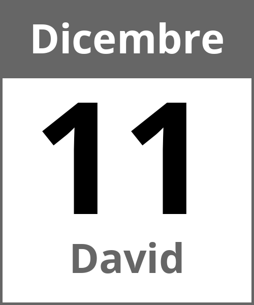 Festa David Dicembre 11.12.