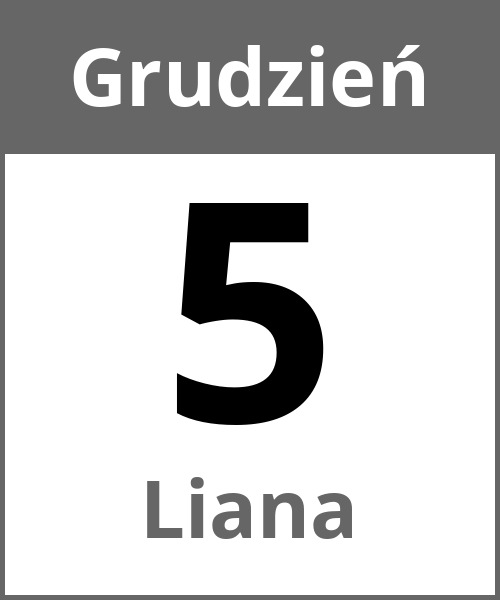 Swieto Liana Grudzień 5.12.